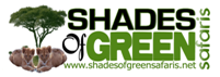 Shades of Green Safaris Webmail
